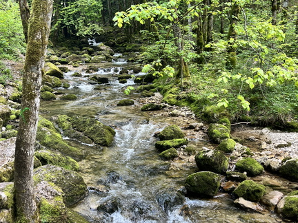 23-05-22 13-37-29 5554